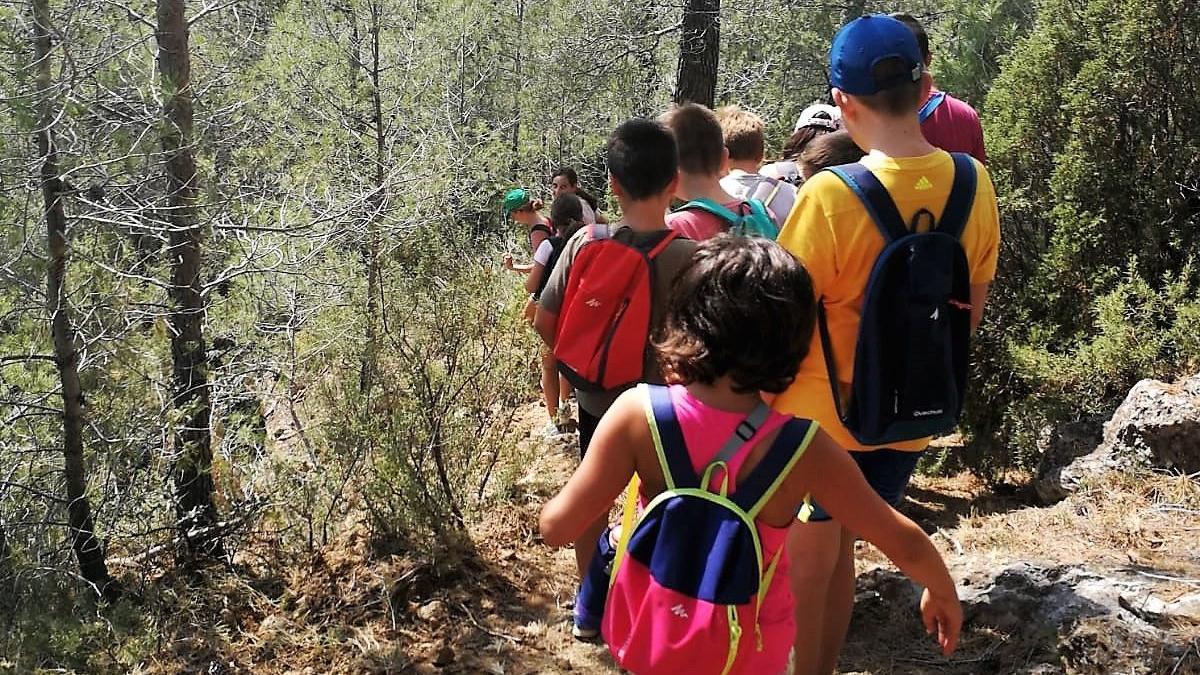 Un grupo infantil de senderismo.