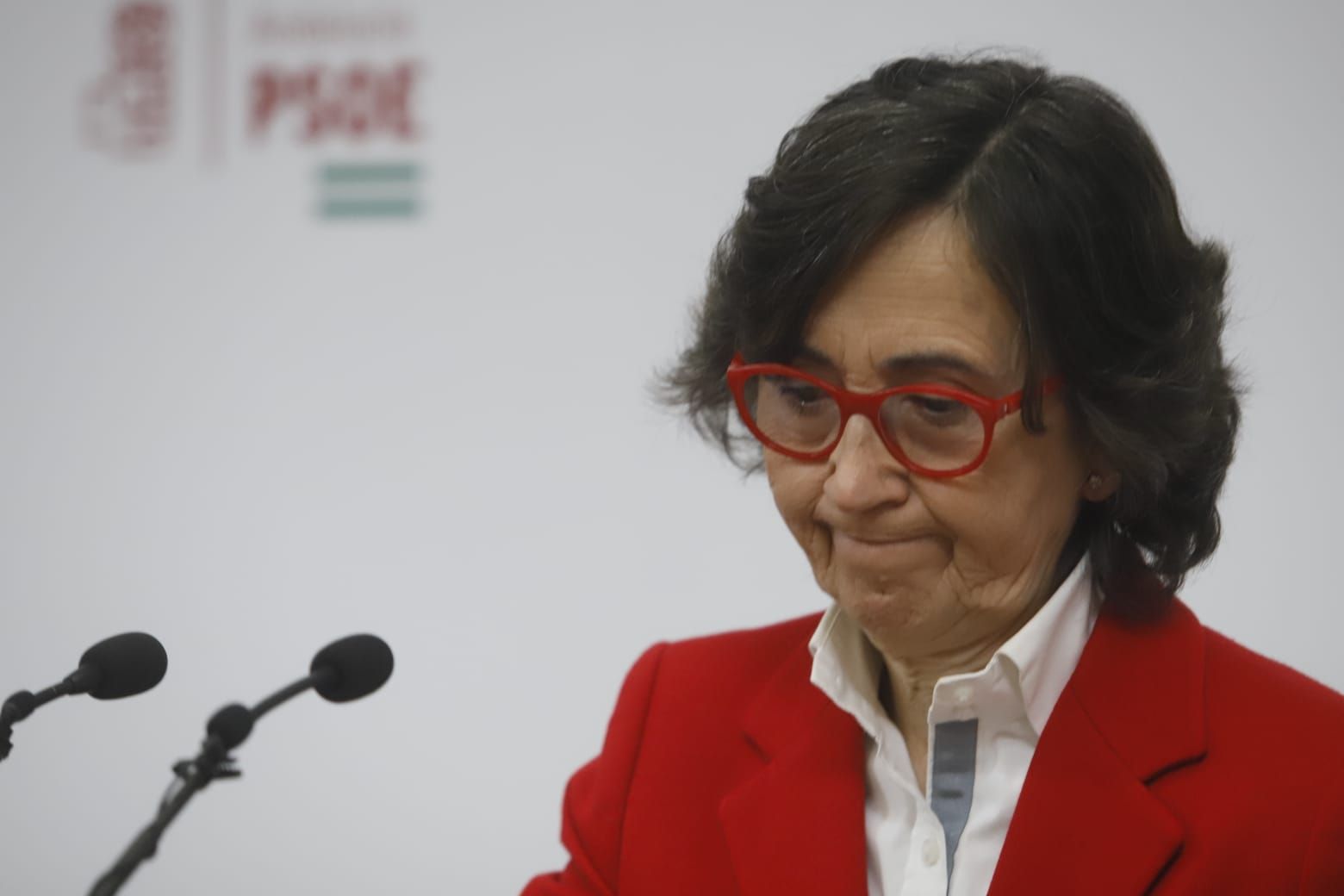 Rosa Aguilar anuncia su despedida de la política