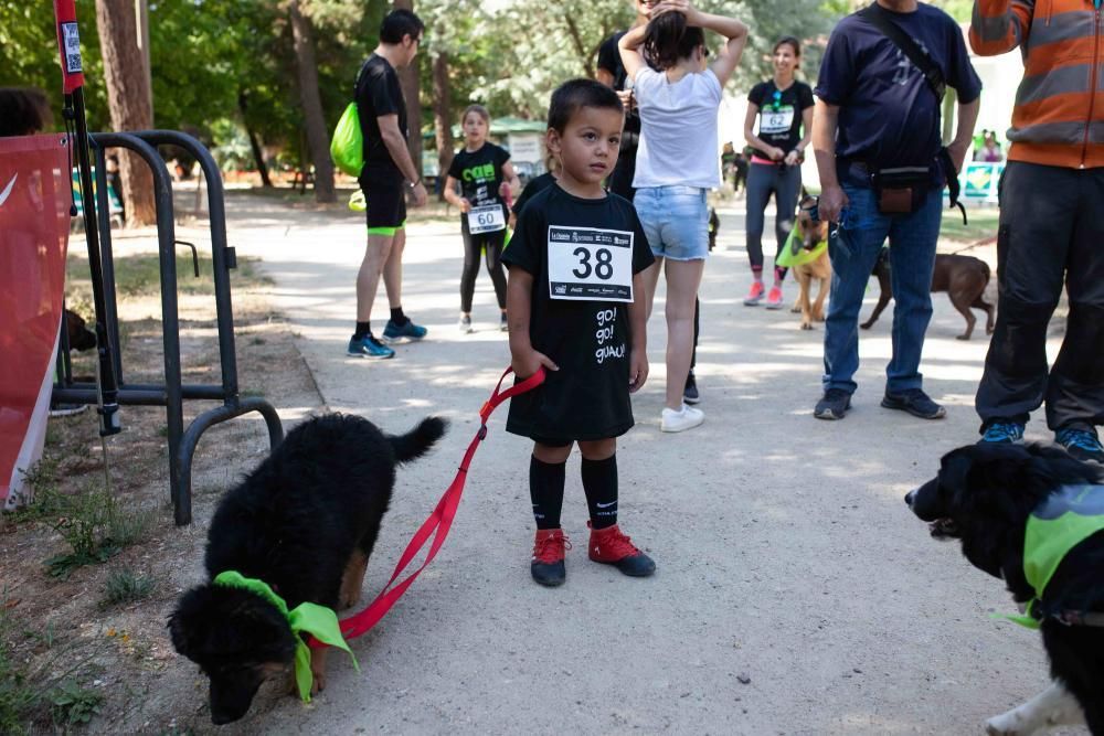 II Can We Run en Zamora