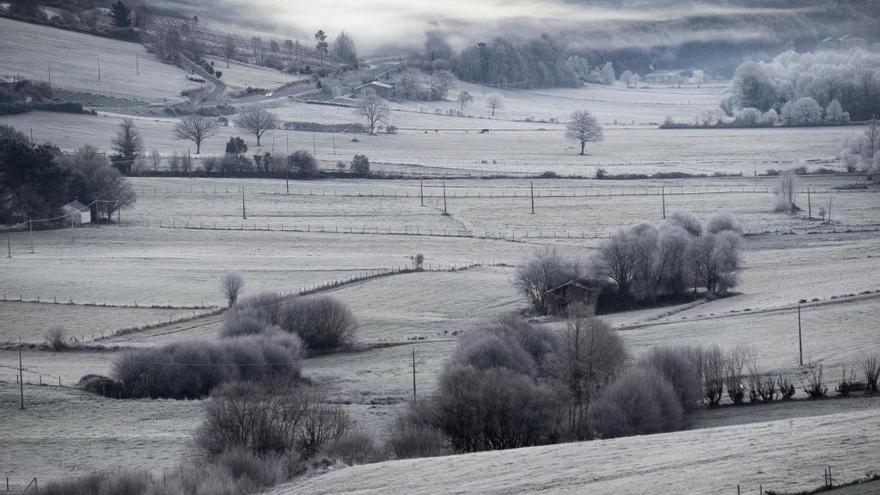 Campos helados en el concello de Baleira, en Lugo. // EFE