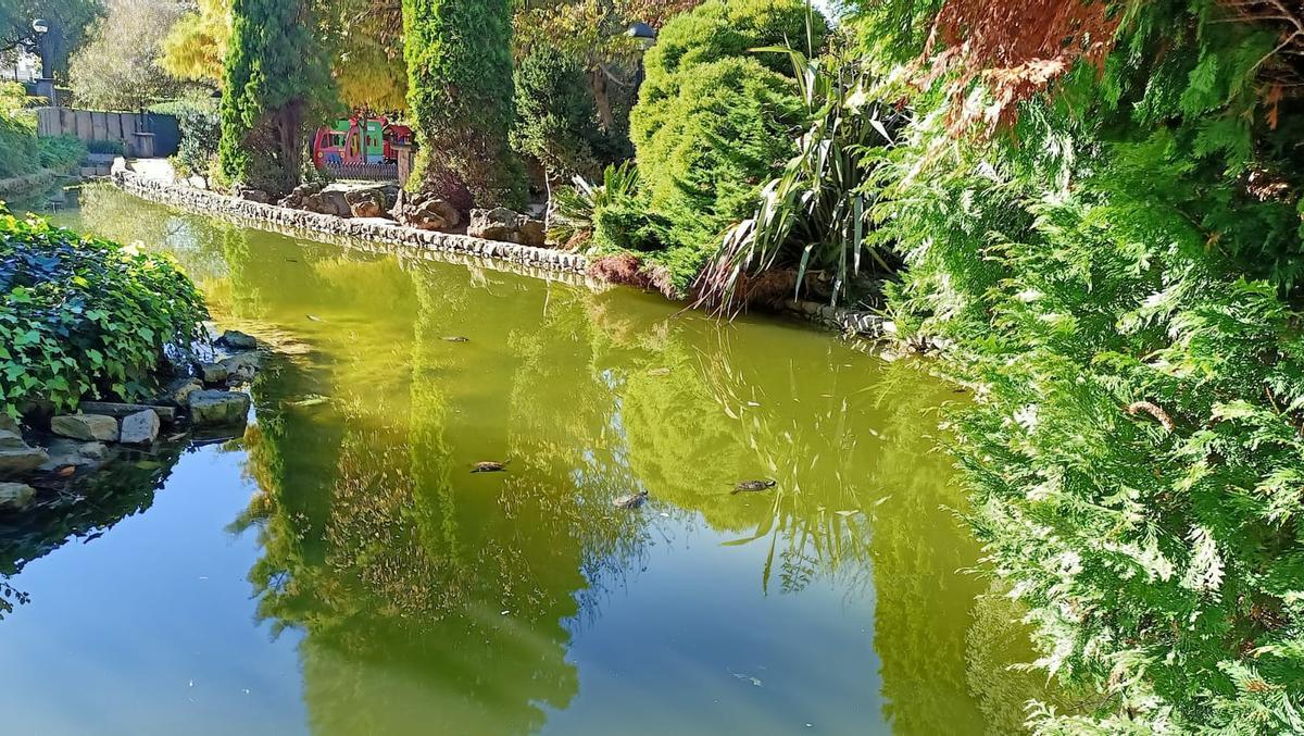 Tortugas en el estanque del parque José Martí de Santa Cristina