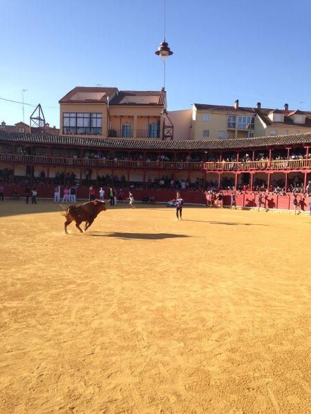 Toro de cajón y encierro urbano en Toro