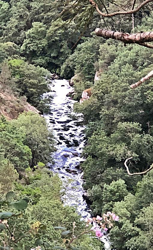 Aspecto del cauce del río a su paso por Cira, en Silleda. // M.M.