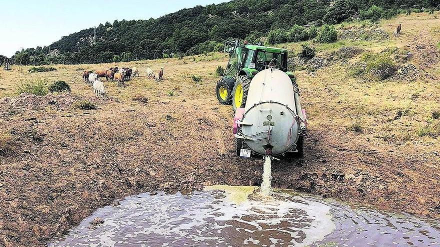 La sequía obliga a los ganaderos de Els Ports a recurrir a cubas