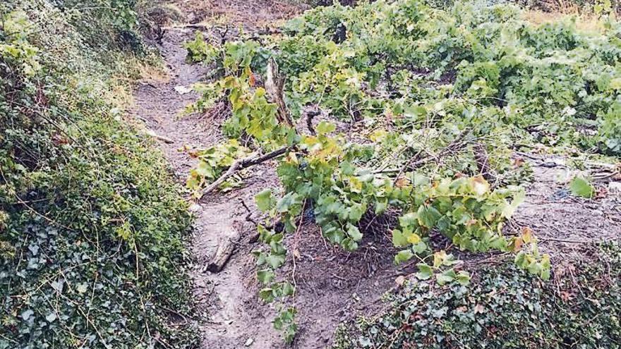 Un joven fallece en O Barco de Valdeorras al caer con su coche por un barranco