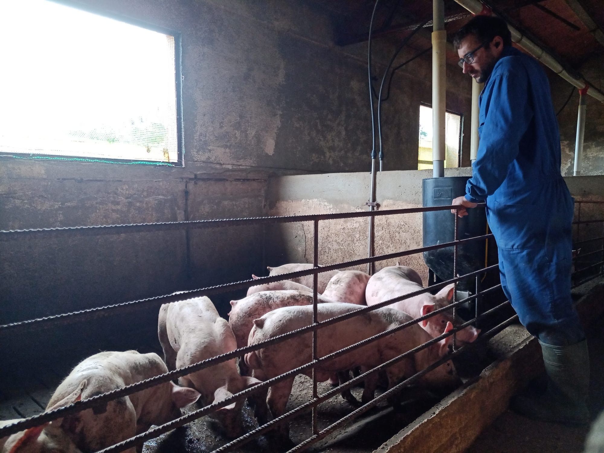 MIguel Ángel Querol, en una de las granjas de gestiona en el ámbito de Morella.