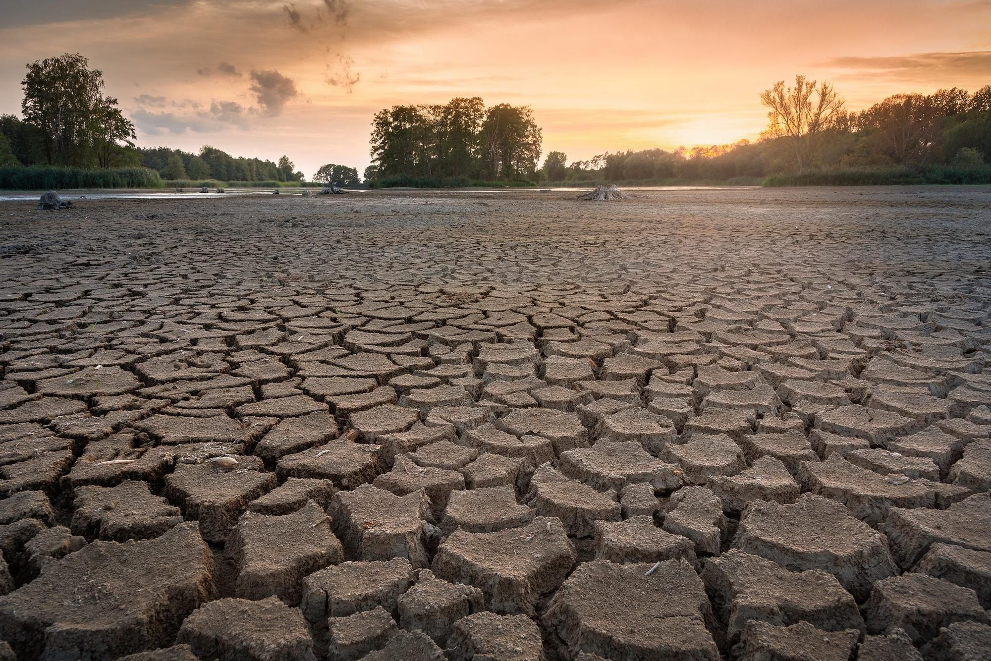 Terreno cuarteado por la sequía
