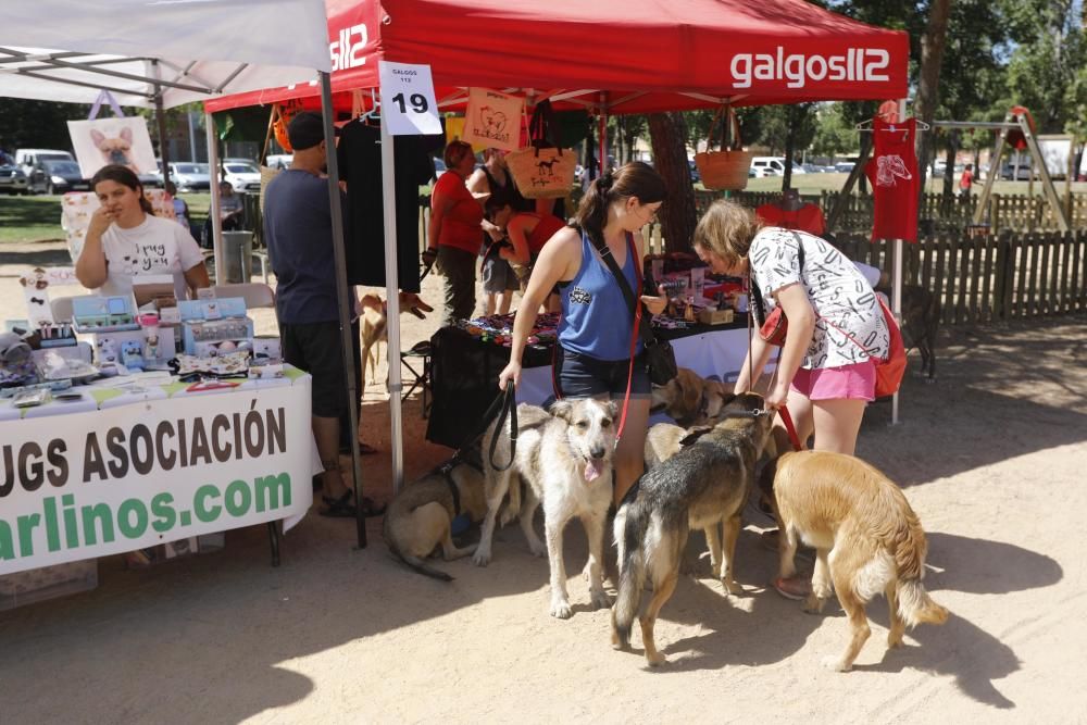 Fira Animalista de Salt