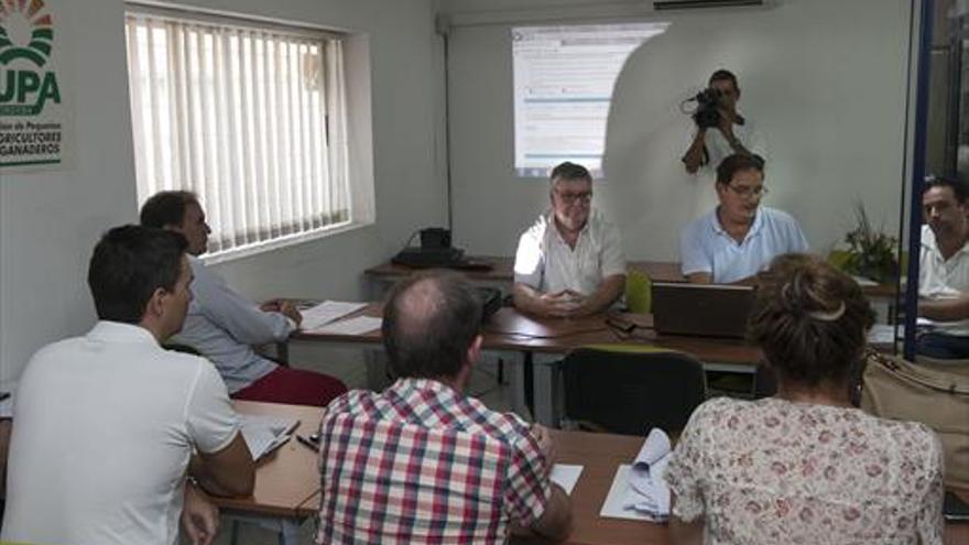 La sequía podría reducir la campaña de aceite a la mitad