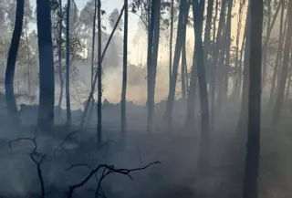 Los montes de Santa Baia y Ponte Arnelas sufren sendos incendios