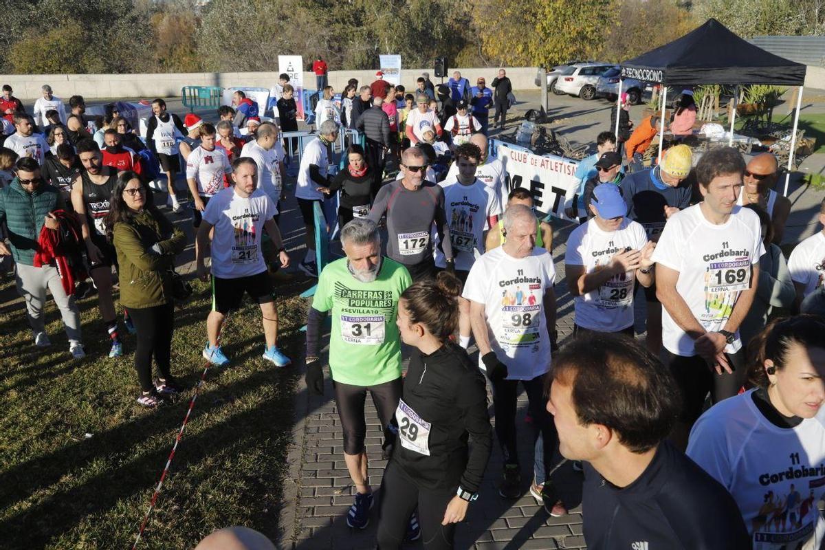 La Carrera Popular Córdobaria 2024, en imágenes