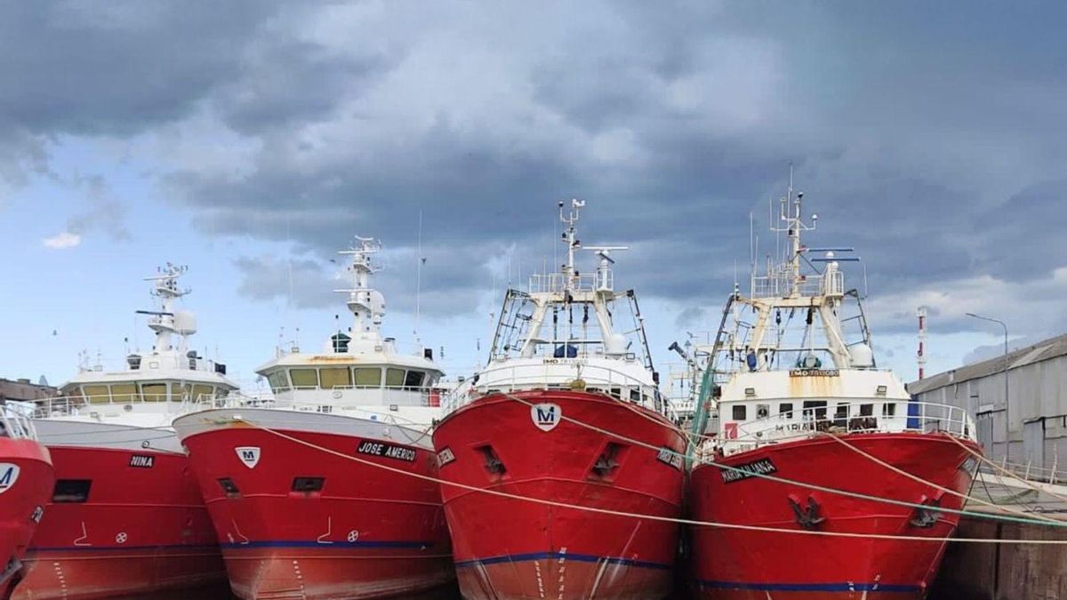 Flota congeladora amarrada en Mar del Plata