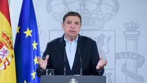 El ministro de Agricultura, Pesca y Alimentación, Luis Planas.