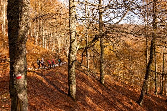 Selva de Irati, Navarra, escapadas a la montaña