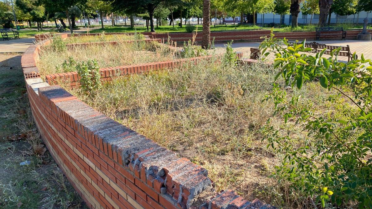 Un parterre de Suerte de Saavedra con malas hierbas y desperfectos.