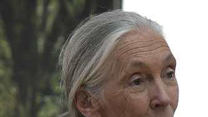 Jane Goodall