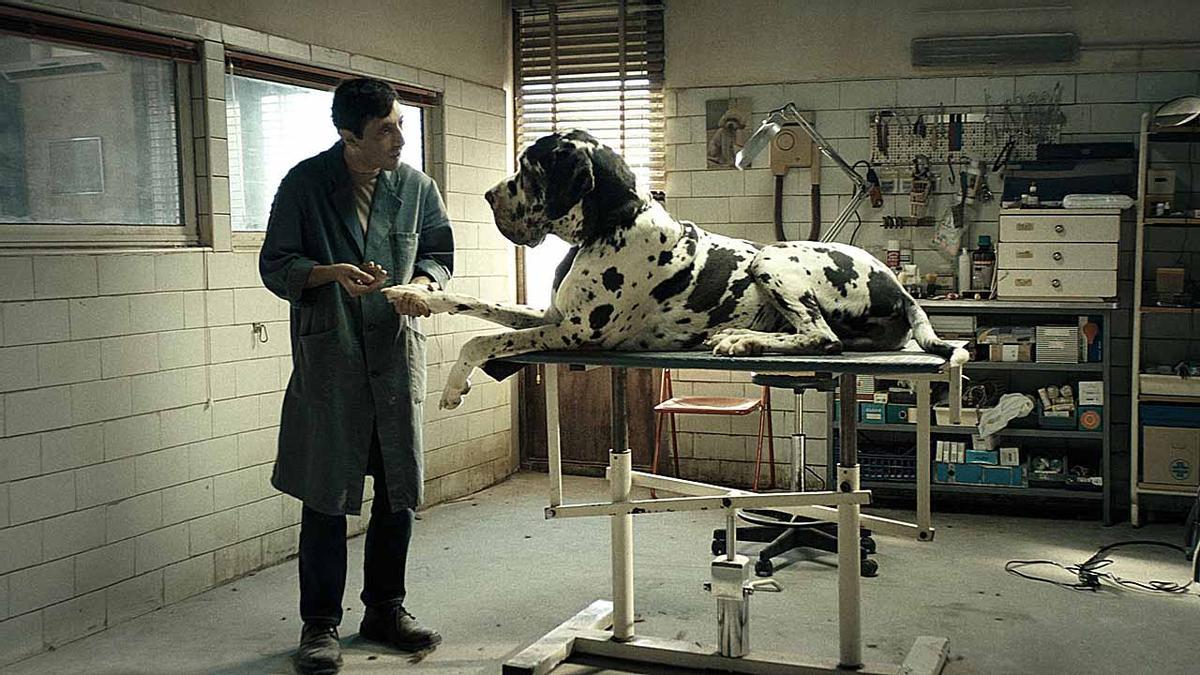 4-estrenos-dogman