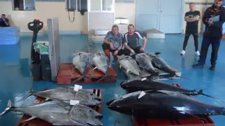 Un barco de Castellón pesca 478 kilos de atún rojo en solo tres días