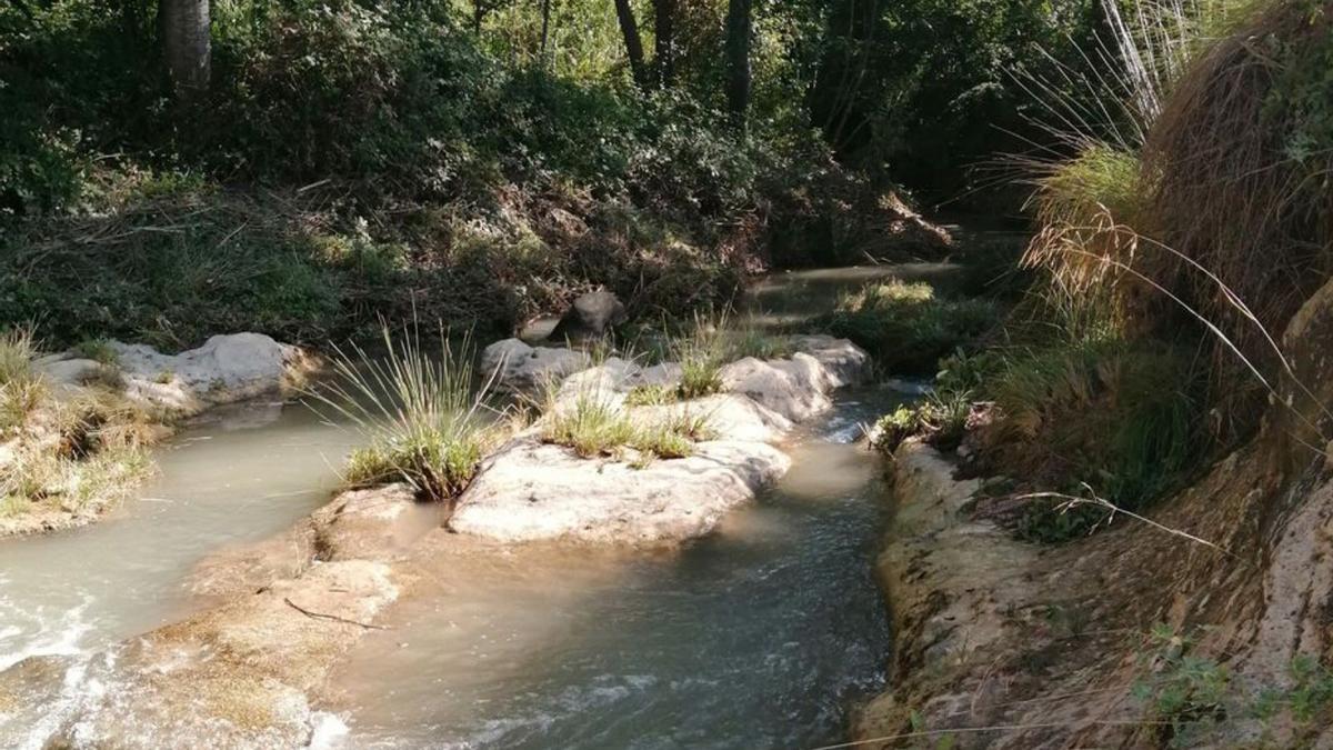 El río Quípar es otros de los afluentes presionados. | ECOLOGÍA ACUÁTICA/UMU