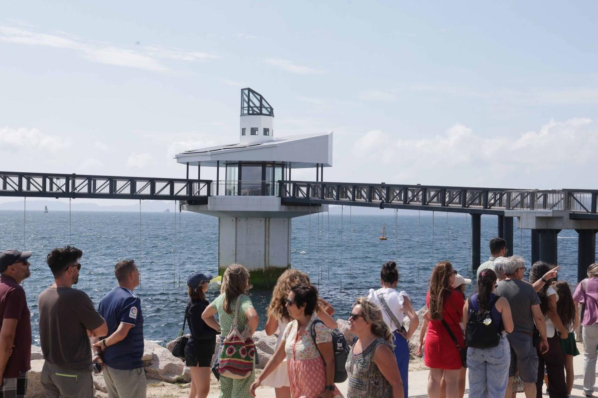 Abre «Atlántida», una ventana privilegiada para observar la riqueza de la ría de Vigo
