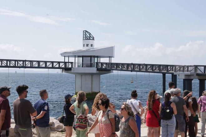 Abre «Atlántida», una ventana privilegiada para observar la riqueza de la ría de Vigo