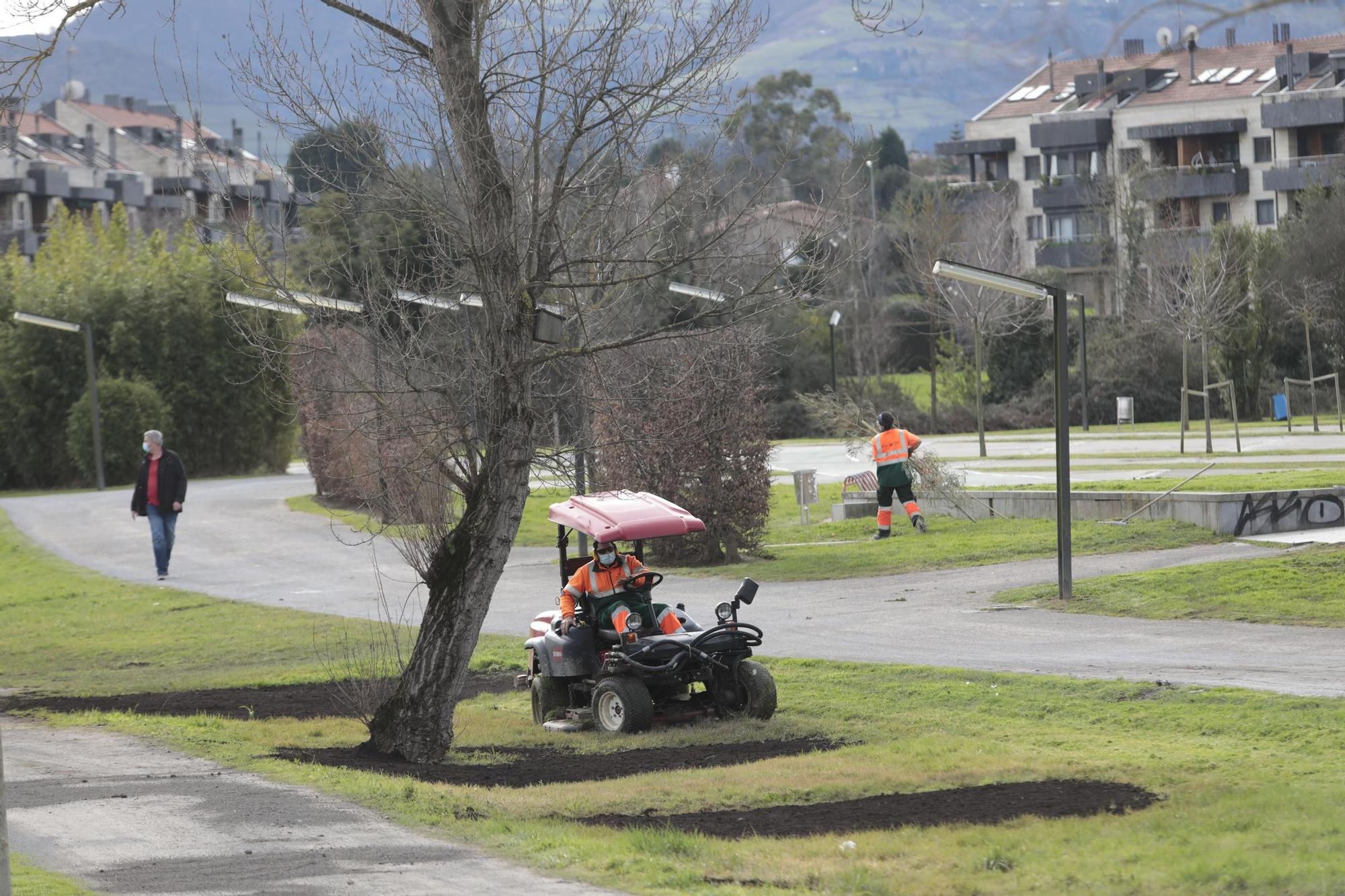 Jabalí abatido en la senda fluvial de Viesques