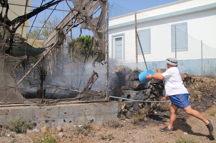 Incendio en El Paso, La Palma