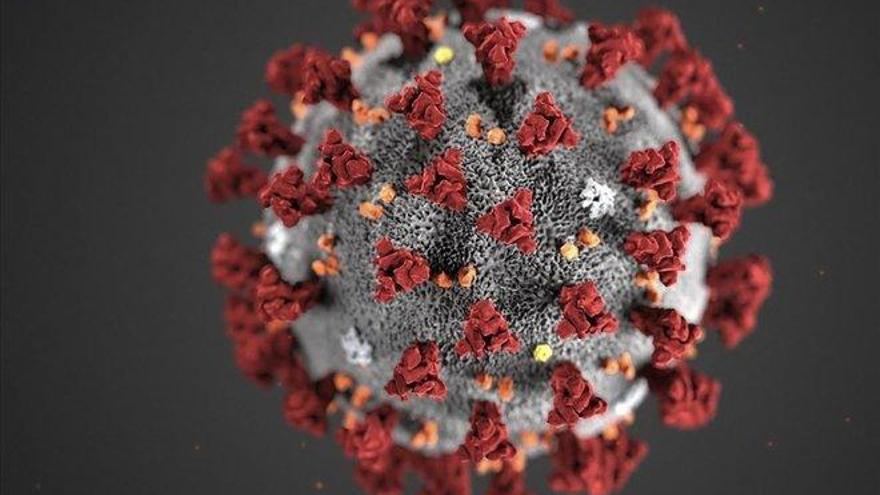Investigadores chinos encuentran coronavirus en el semen de pacientes