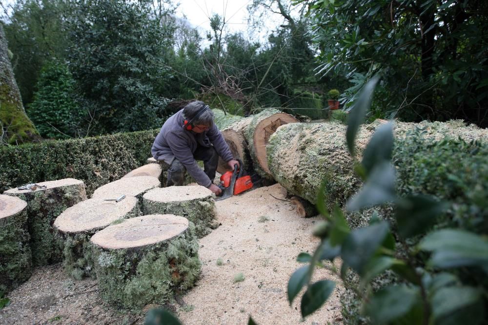 Coletazos del temporal en Tabeirós-Montes