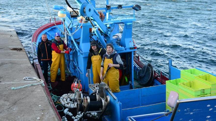 La presencia “desmesurada” de sardina impide al cerco pescar otras especies y urge abrir ya la campaña