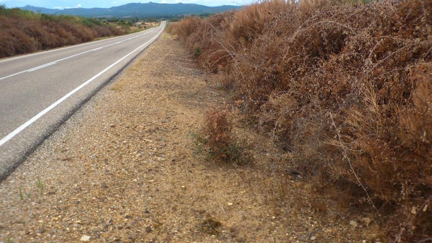 La Diputación y la Junta esparcen herbicidas &quot;peligrosos&quot; en Mahíde y San Vitero, denuncia Ecologistas