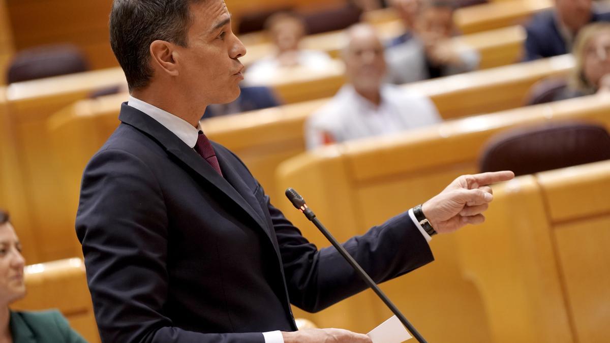 Pedro Sánchez en el Senado