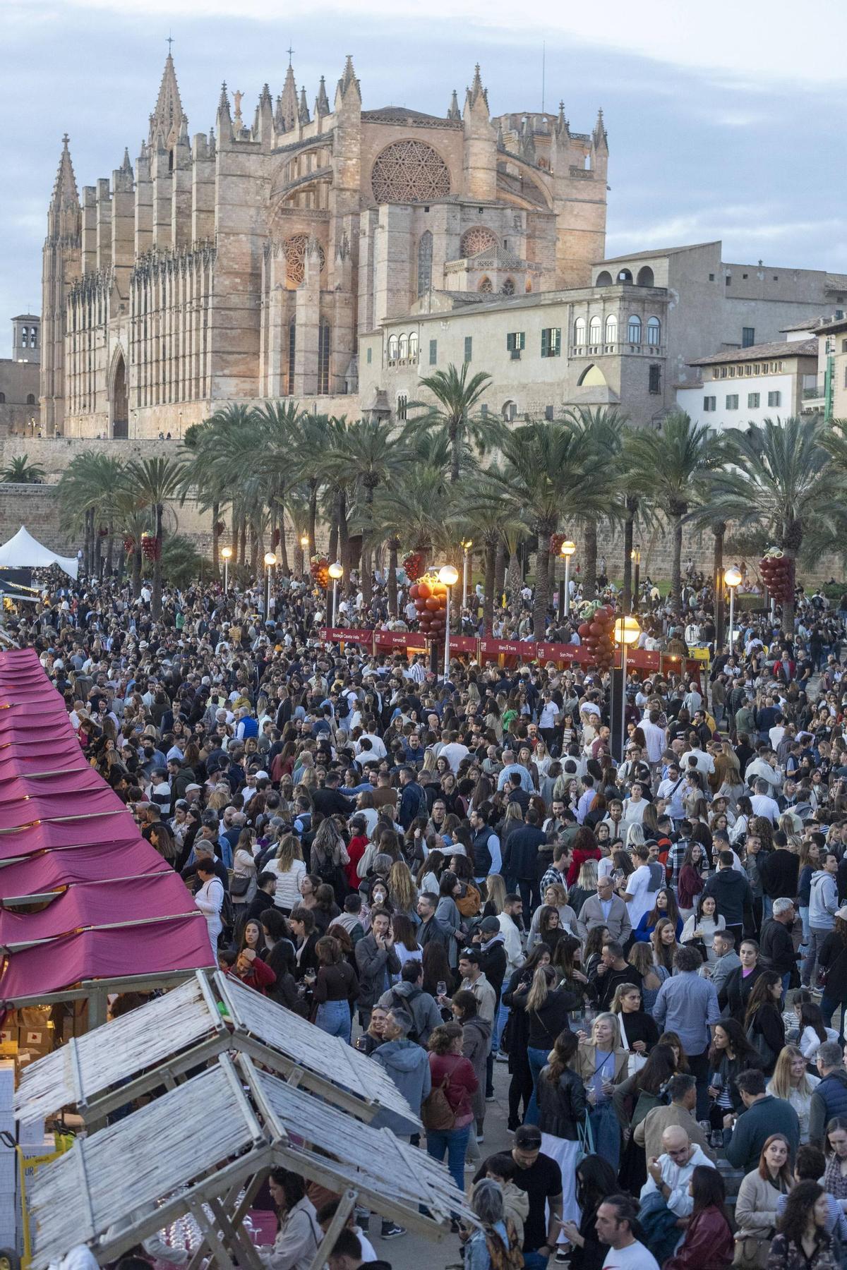 FOTOS | Palma reune a centenares de personas para disfrutar del Raïm Wine Fest