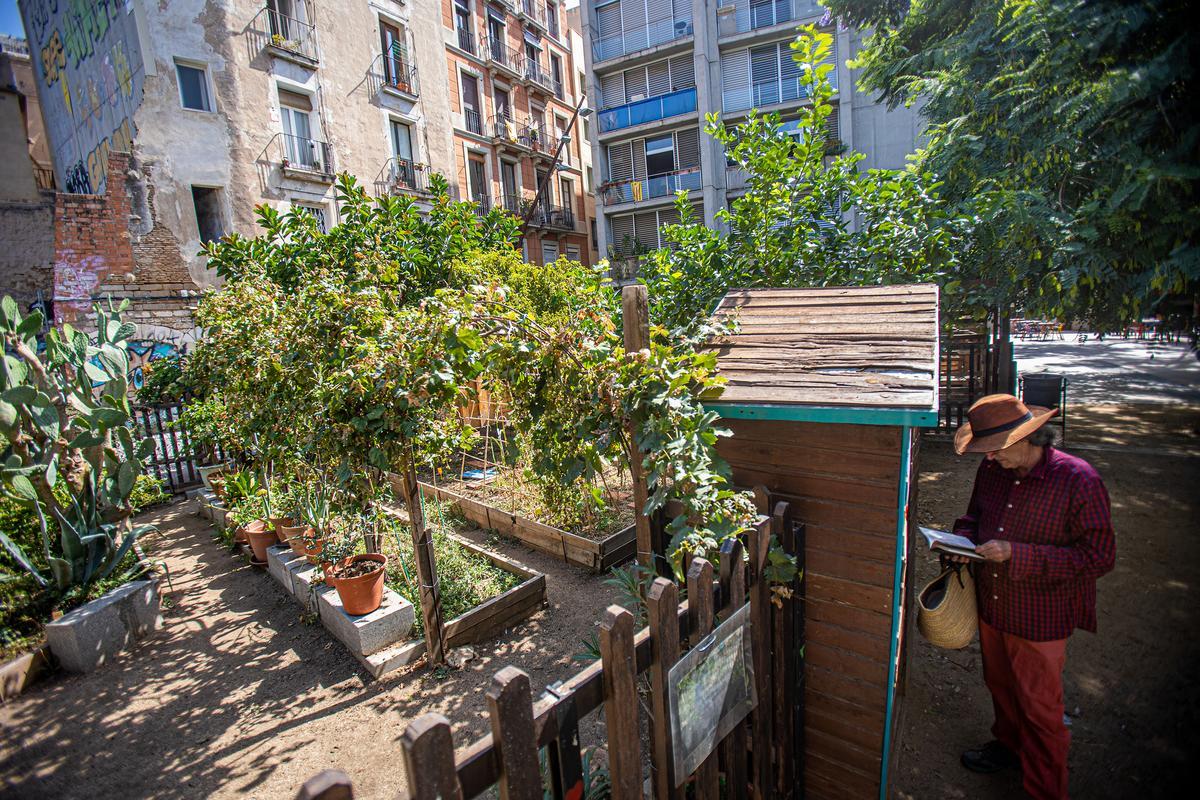 El huerto comunitario de la plaza del Pou de la Figuera, en Ciutat Vella.