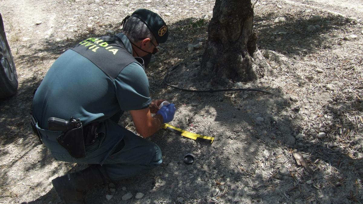 Una agente el Seprona analiza uno de los cebos colocados.