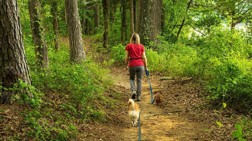 Un paseo por el monte con tu mascota dice mucho de ti