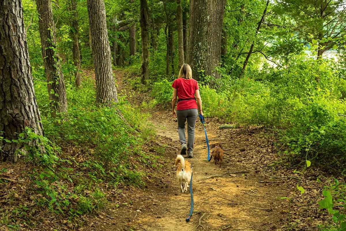 Un paseo por el monte con tu mascota dice mucho de ti