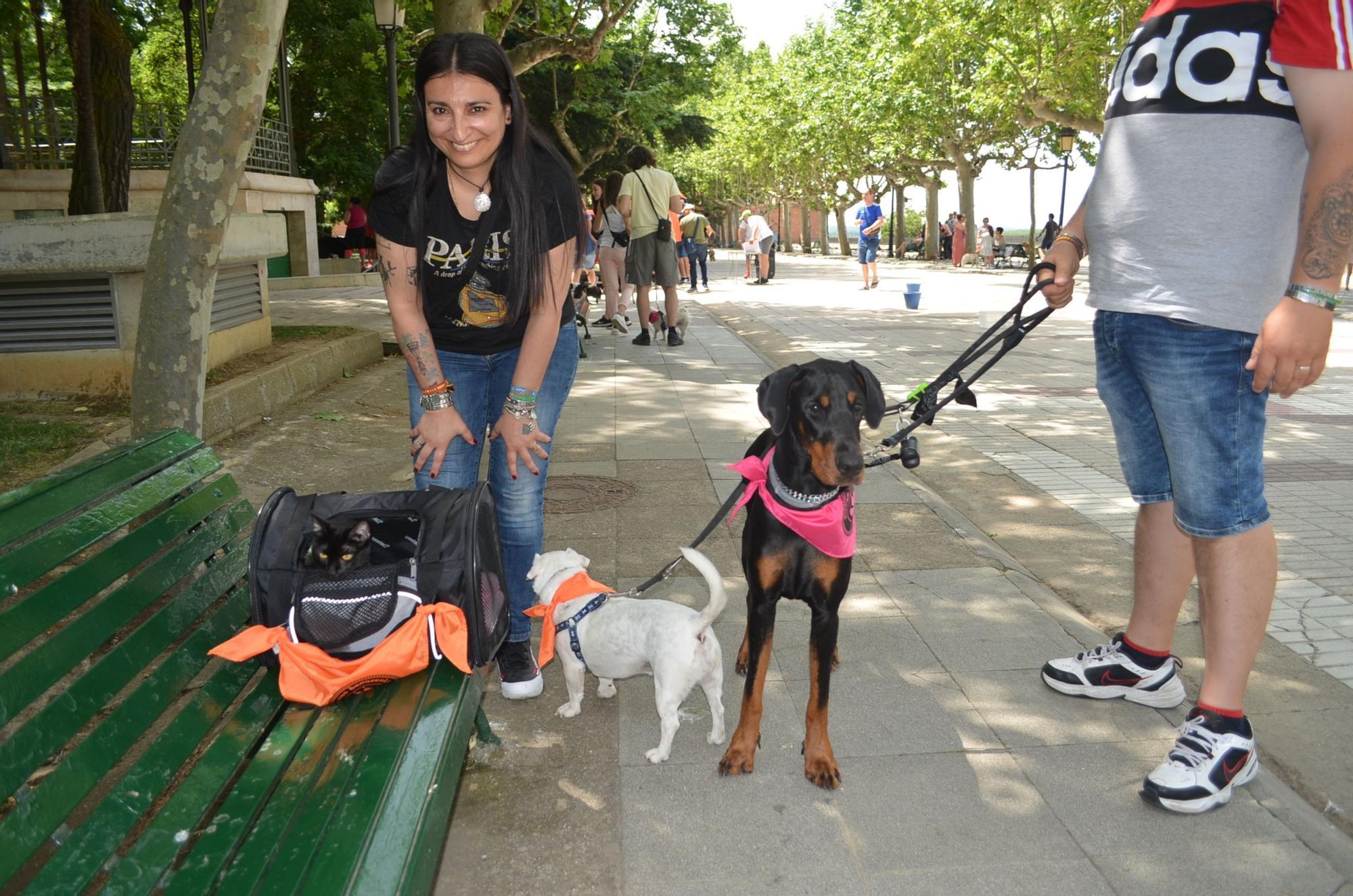 Benavente saca los perros a pasear contra el abandono animal