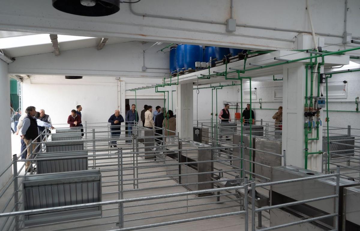 Comederos de los terneros en la granja experimental de Cobadu en Cerecinos del Carrizal. | José Luis Fernández