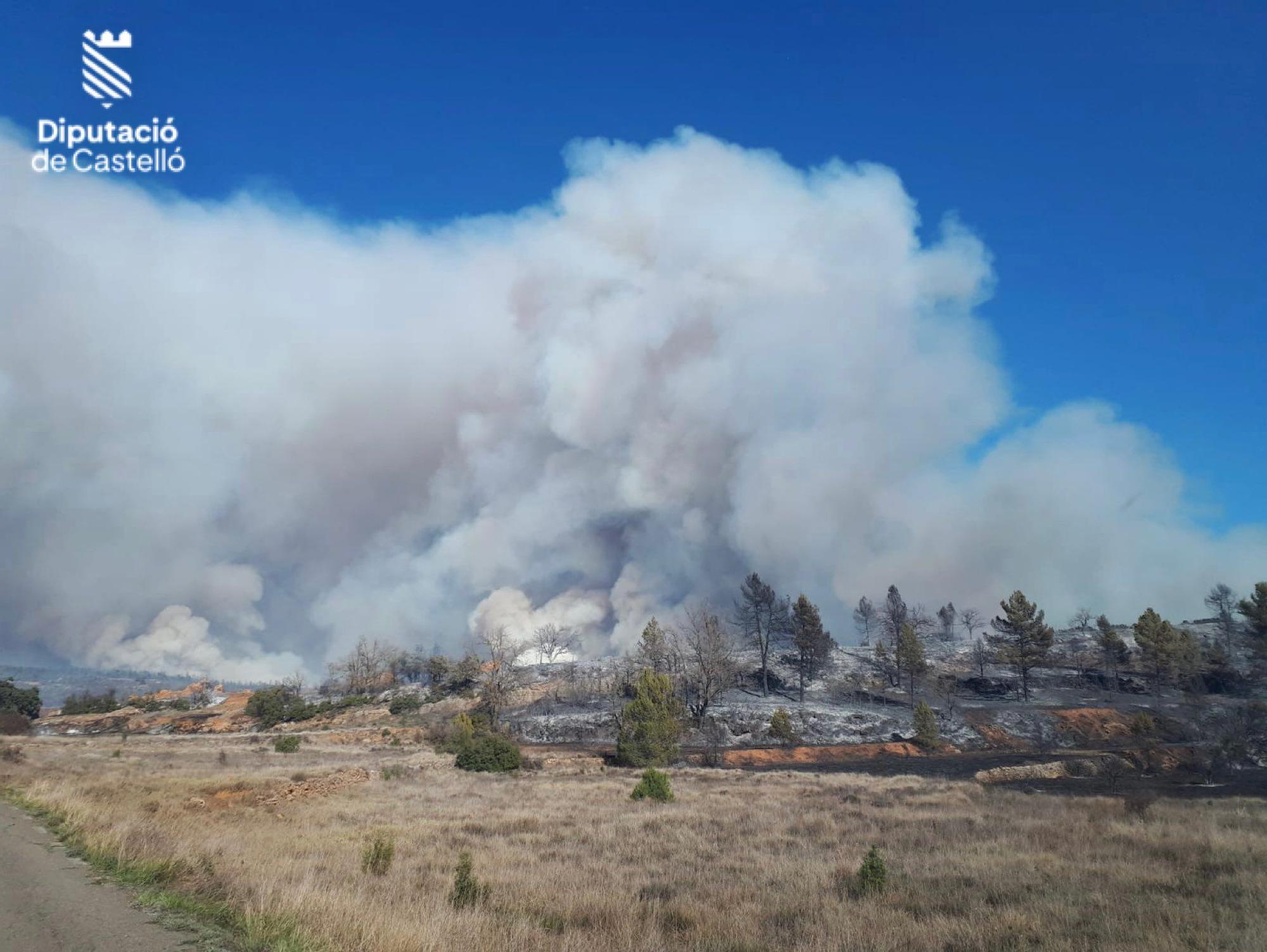 Las imágenes del incendio forestal en Villanueva de Viver