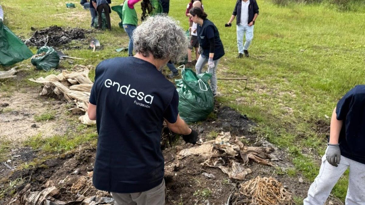 Voluntarios limpiando Doñana.