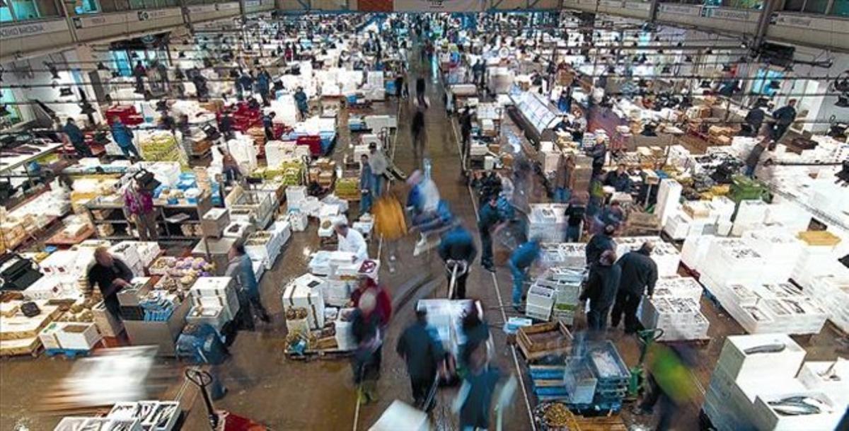Venedors i compradors de peix i marisc al mercat central d’aquests productes de Mercabarna. Venedors i compradors de peix i marisc al mercat central d’aquests productes de Mercabarna.