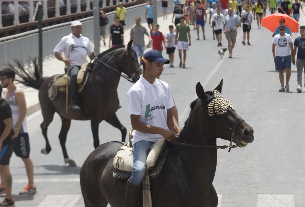 Fiestas de Sagunto. Recinto taurino.