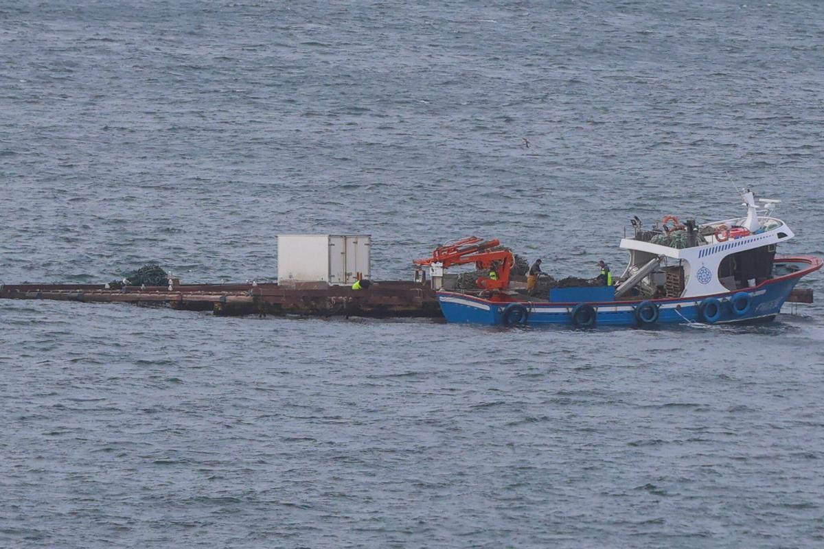 Mejilloneros en un barco auxiliar de acuicultura amarrado a una batea.