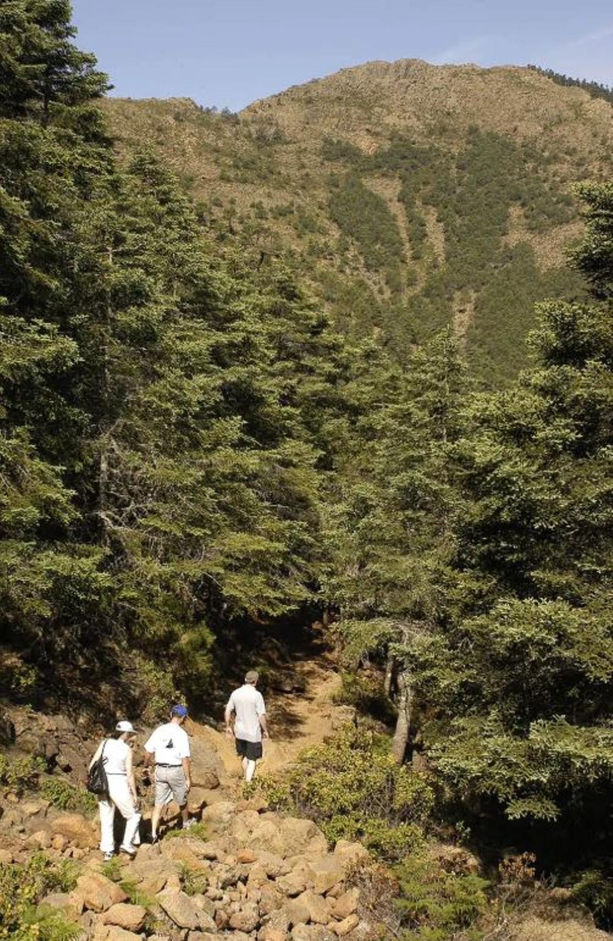 Paraje Natural de los Reales de Sierra Bermeja