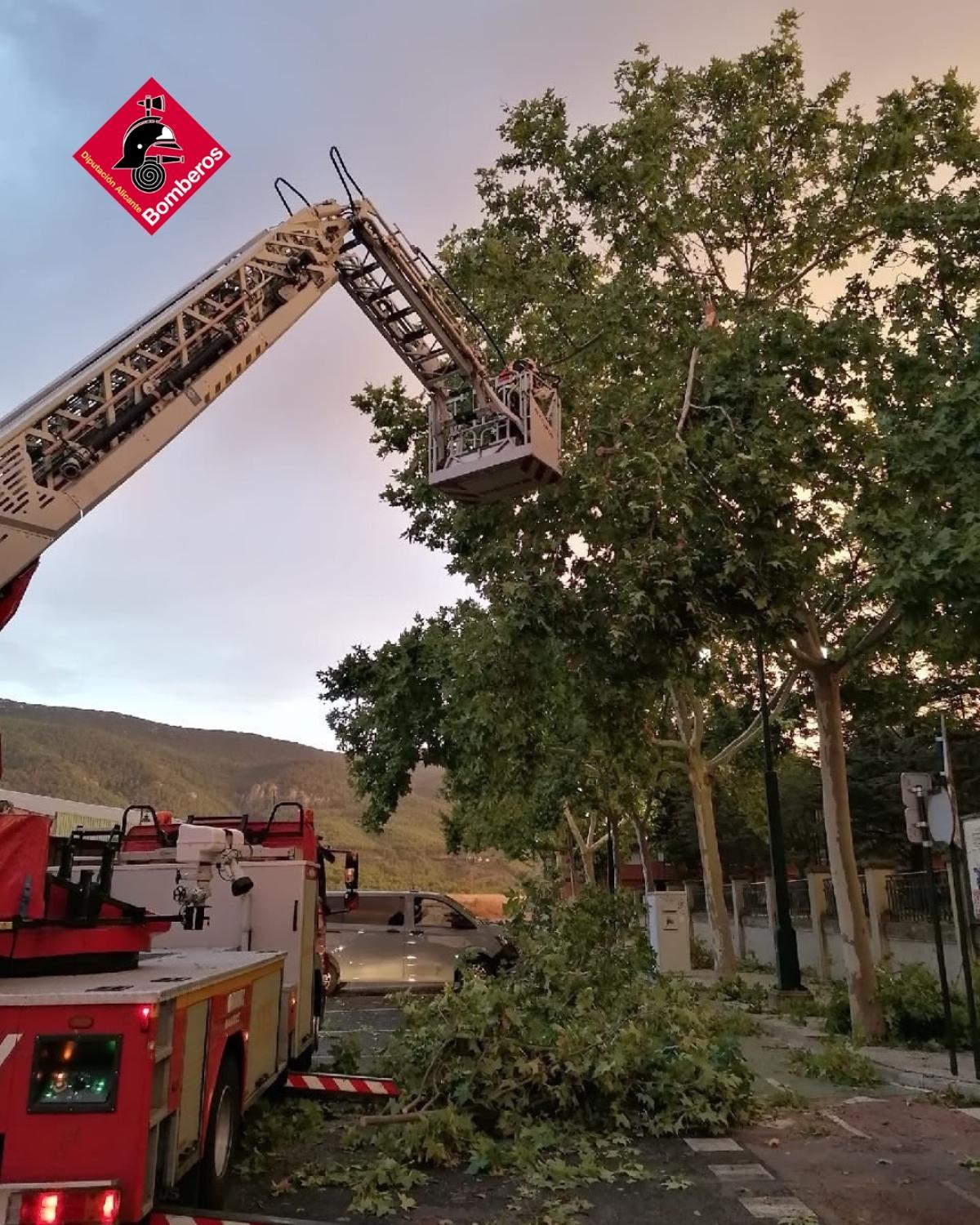 El temporal deja 62 intervenciones de los bomberos en Alicante: Alcoy, el municipio más afectado con 32 avisos El temporal deja 62 intervenciones de los bomberos en Alicante: Alcoy, el municipio más afectado con 32 avisos