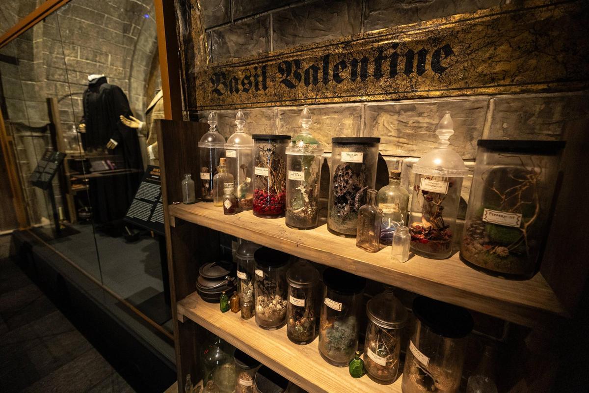 La mayor exposición inmersiva sobre Harry Potter llena de magia Barcelona