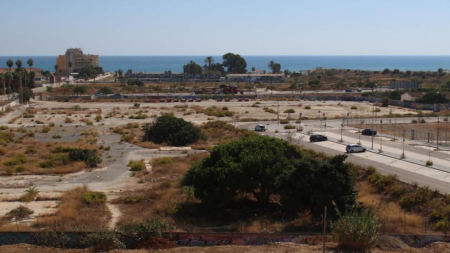 Imagen de los terrenos junto al Martín Carpena por los que se han interesado varias universidades.