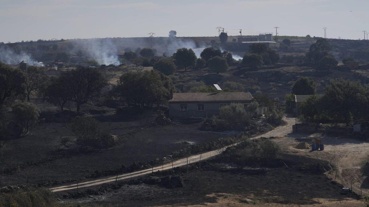 Incendio de Fermoselle.