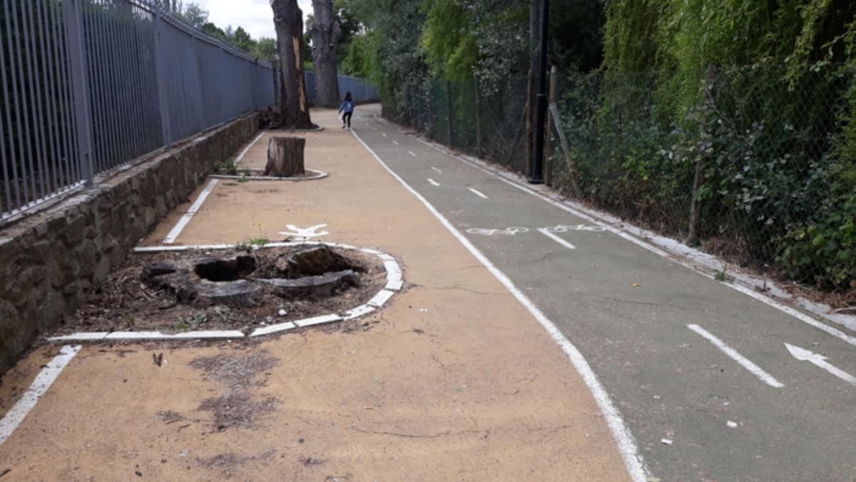 Carril bici de Benavente. / E. P.